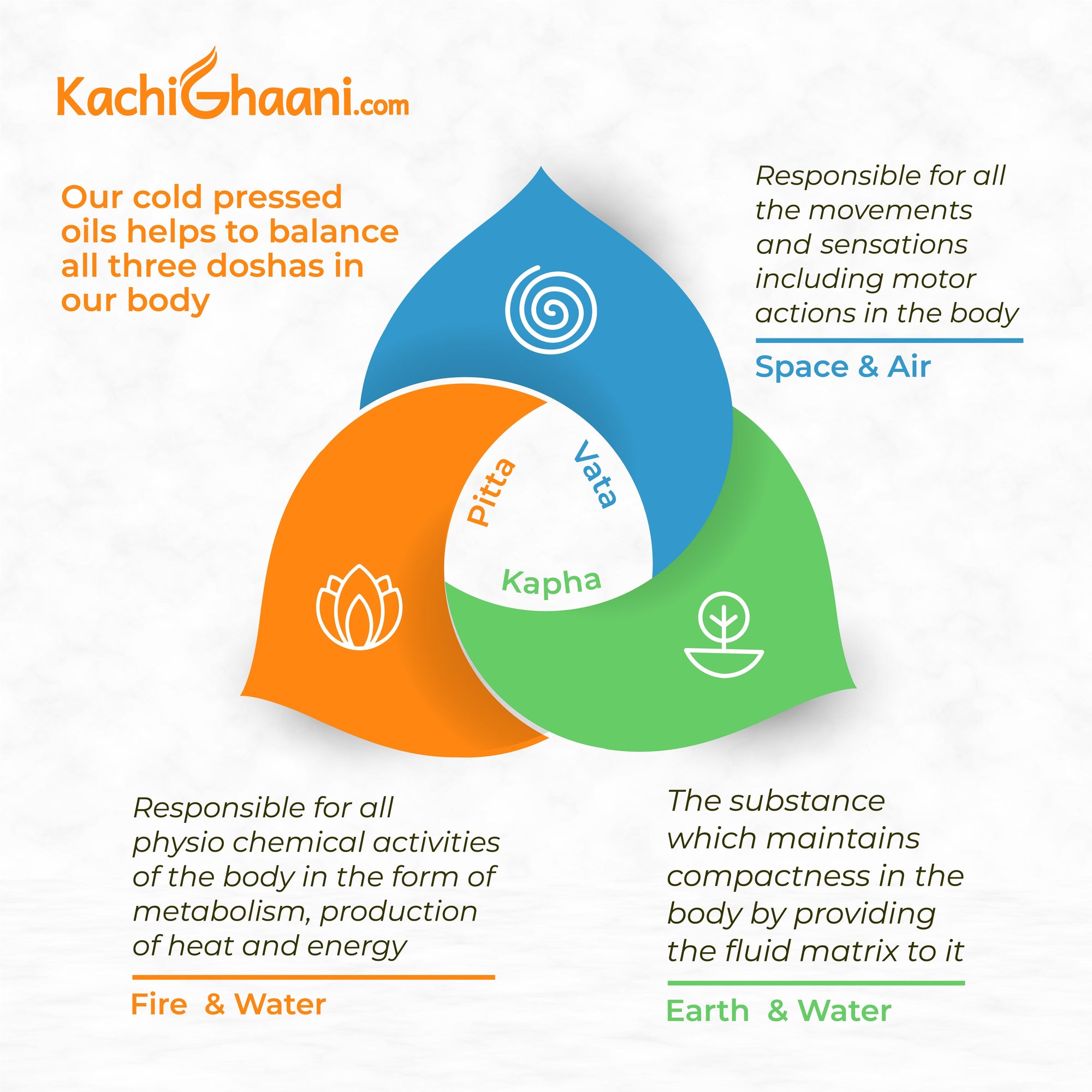 How Cold Pressed Oils Balance Vata, Pitta & Kapha – The Ayurvedic Way